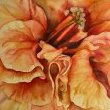 Star Light by Mary Lyn Gough